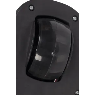LED Colibro Run kolmerattaline tõukeratas Magnetic