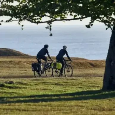 Thule 5405 Shield pannier 25L pair yellow