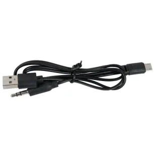 Bluetooth kõlar iDance BM1BLACK