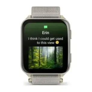 Garmin Venu X1 5.08 cm (2") AMOLED Digital 448 x 486 pixels Touchscreen Gold, Titanium Wi-Fi GPS (satellite)