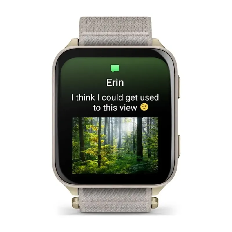 Garmin Venu X1 5.08 cm (2") AMOLED Digital 448 x 486 pixels Touchscreen Gold, Titanium Wi-Fi GPS (satellite)