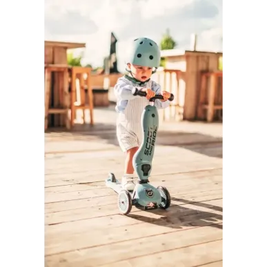 Трехколесный самокат Scoot And Ride Highwaykick 1