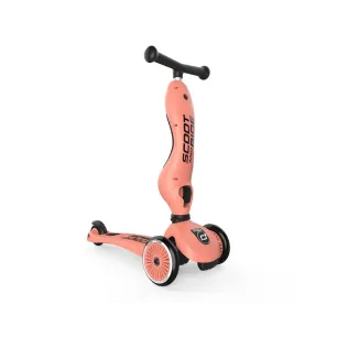 Трехколесный самокат 2-в-1 Scoot And Ride Highwaykick 1