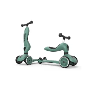 Трехколесный самокат 2-в-1 Scoot And Ride Highwaykick 1