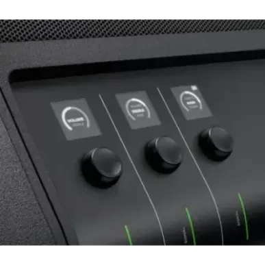 Bose S1 Pro+ Stereo portable speaker Black