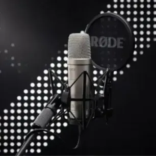 RØDE Microphone NT1-A NT1A XLR USB-C XLR USBC silver (NT1GEN5)