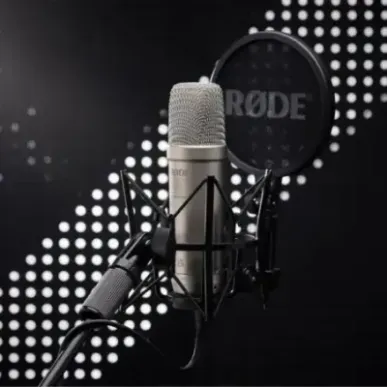 RØDE Microphone NT1-A NT1A XLR USB-C XLR USBC silver (NT1GEN5)
