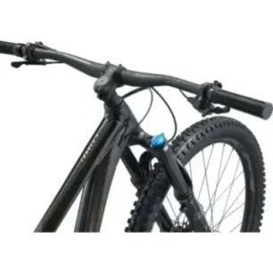 Maastikuratas GIANT Trance X 29 1, Panther (L)