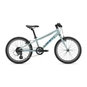 Ülikerge laste jalgratas GIANT ARX 20, Soap Suds