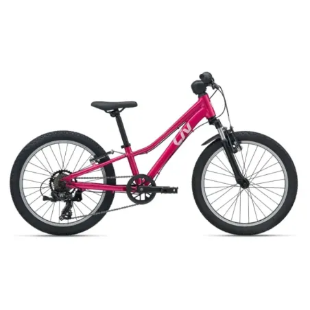 Laste jalgratas LIV Tempt 20, Virtual Pink