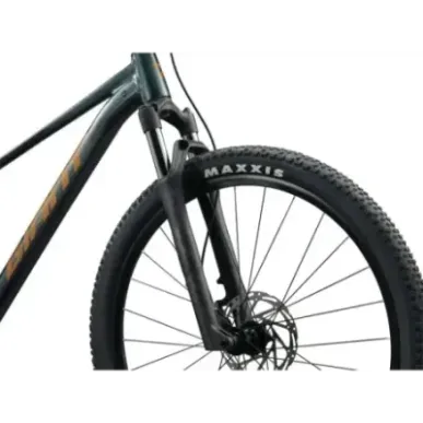Jalgratas GIANT Talon 2, 29" Asphalt Green (M)
