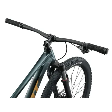 Jalgratas GIANT Talon 2, 29" Asphalt Green (L)