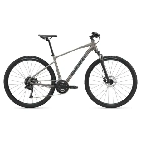 Jalgratas GIANT Roam 3, Metal (L)