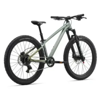 Laste jalgratas LIV STP 24, Alpine Green