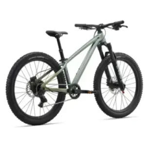 Laste jalgratas LIV STP 20, Soap Suds