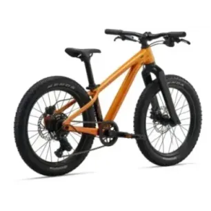Laste jalgratas GIANT STP 20, Metallic Orange