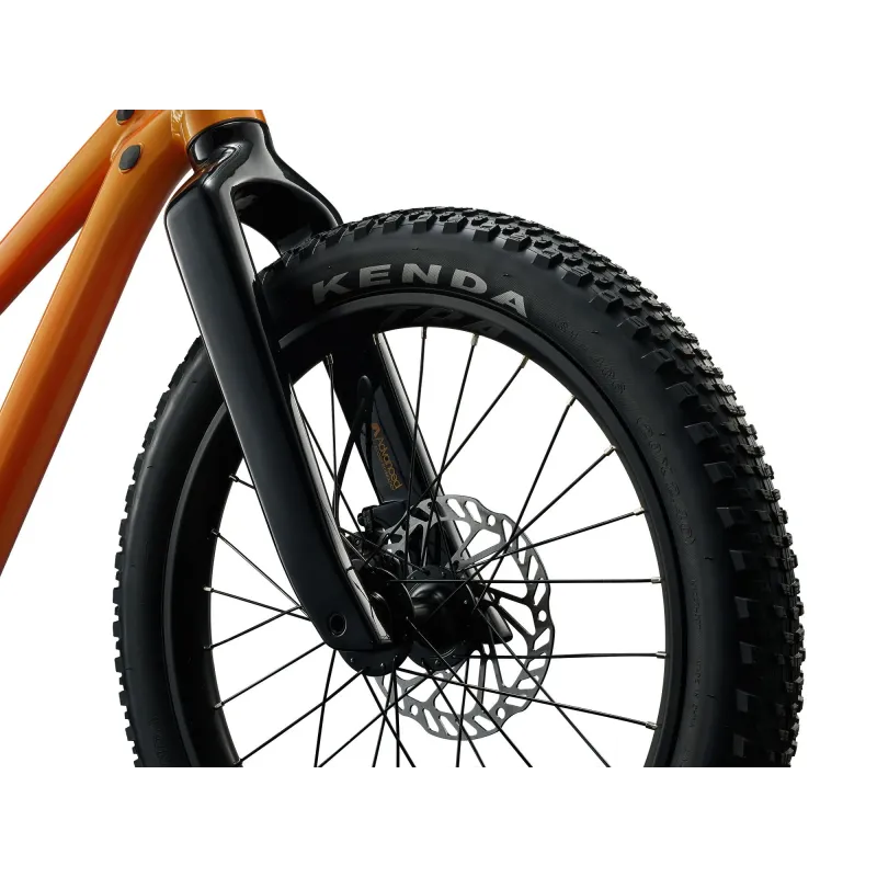 Laste jalgratas GIANT STP 20, Metallic Orange