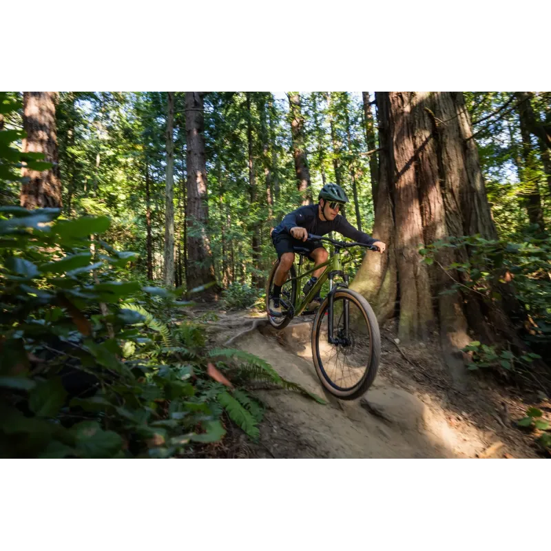 Jalgratas GIANT Talon 2, 27,5" XS, Dried Matcha