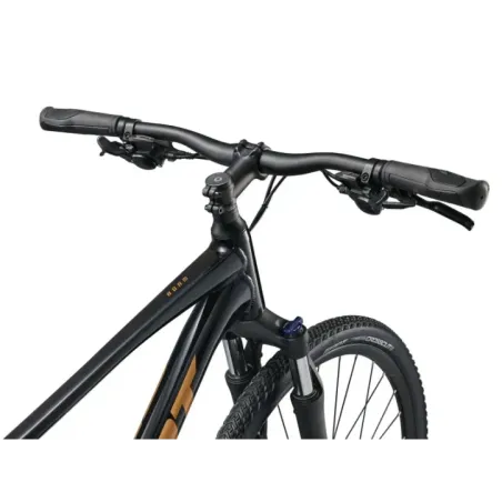 Jalgratas GIANT Roam 4, Black (XL)