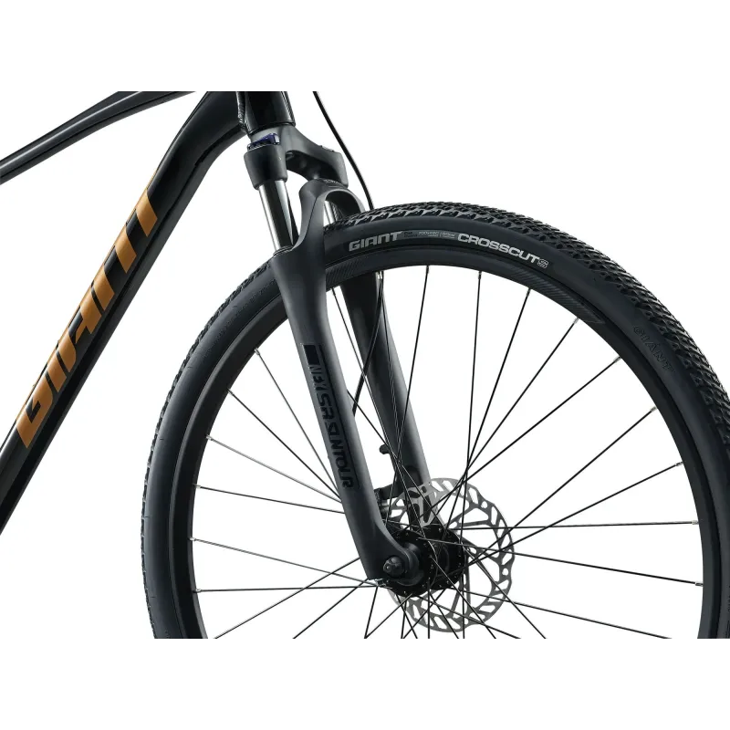 Jalgratas GIANT Roam 4, Black (XL)