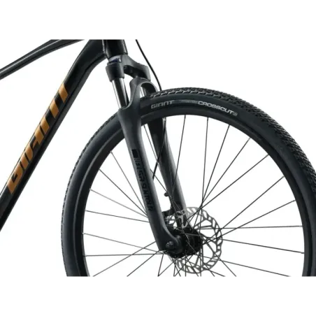 Jalgratas GIANT Roam 4, Black (XL)