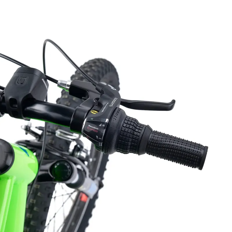 Laste jalgratas S'COOL Xroc, 20" Neon Green/Ocean