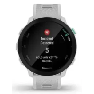 Garmin Forerunner 55 2.64 cm (1.04") MIP 42 mm Digital 208 x 208 pixels Black GPS (satellite)