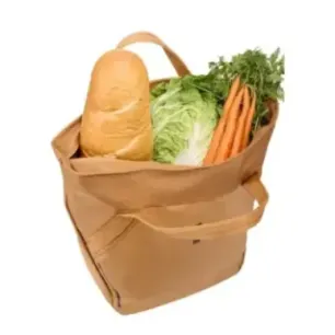 Thule 5467 Chasm Tote 25L with InLock Dusted Orange