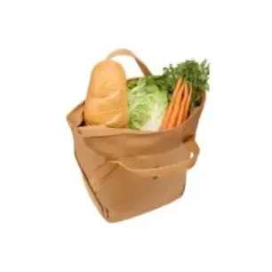 Thule 5467 Chasm Tote 25L with InLock Dusted Orange