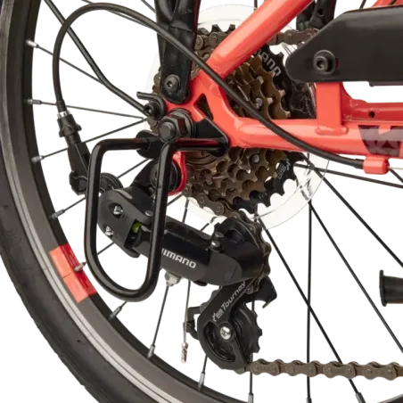 Laste jalgratas S'COOL chiX, 20" Coral/Dark Red
