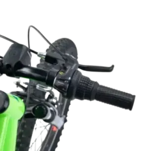 Laste jalgratas S'COOL Xroc, 20" Neon Green/Ocean