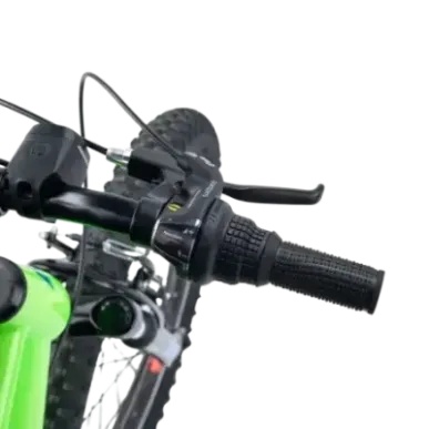 Laste jalgratas S'COOL Xroc, 20" Neon Green/Ocean