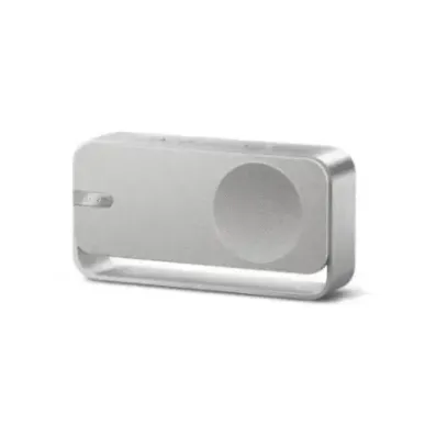 Bose SoundLink Home Portable Bluetooth Speaker Light Silver EU
