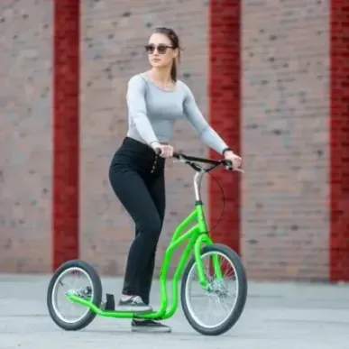 WH206T ROHELINE tõukeratta NILS EXTREME