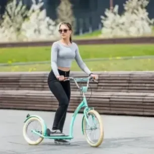 СКУТЕР WH222 MINT NILS EXTREME