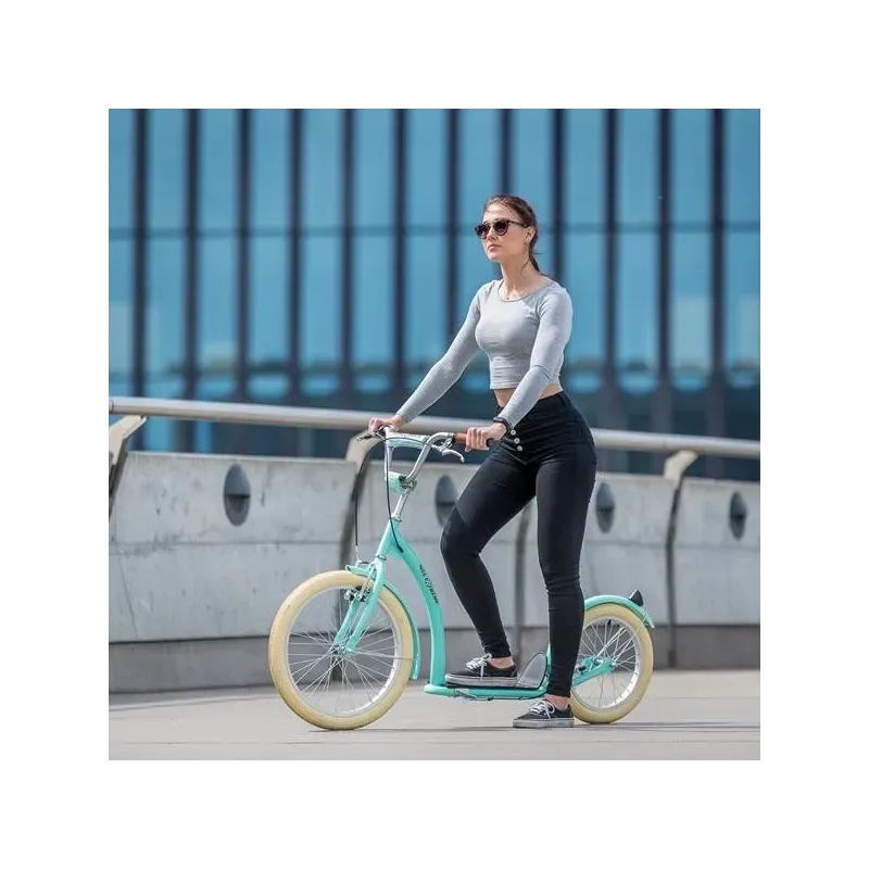 СКУТЕР WH222 MINT NILS EXTREME