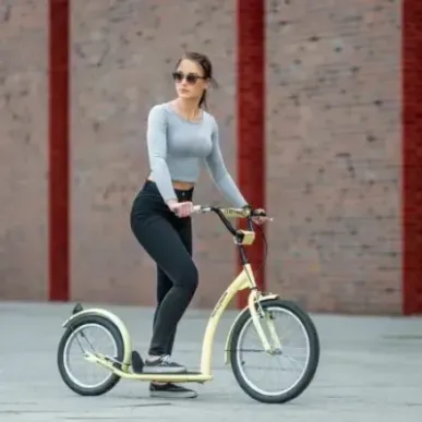 СКУТЕР WH222 ECRU 20/16&quot NILS EXTREME