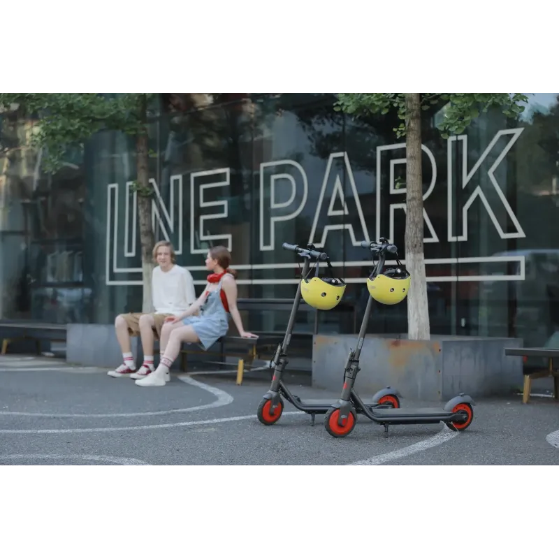 Segway electric scooter Zing C20