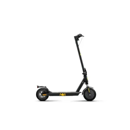 E-Scooter 2XE Sentinel with Turn Signals 350 W 25 km/h Black
