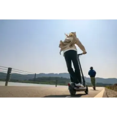Ninebot by Segway Kickscooter E2 PRO E, Black Segway