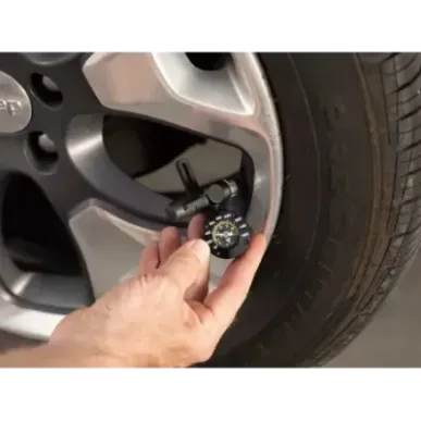 Topeak TSUTG-04 bicycle spare part/accessory Pressure gauge