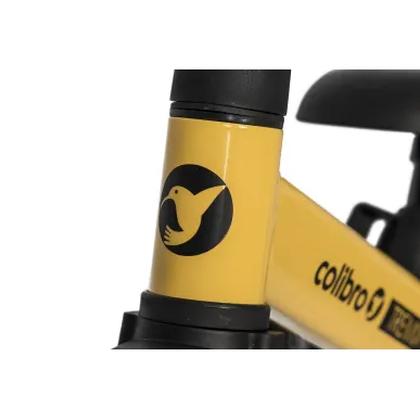 4 в 1 Трехколесный велосипед  Colibro Tremix Yellow — в наличии!